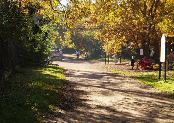 bois du burck mérignac